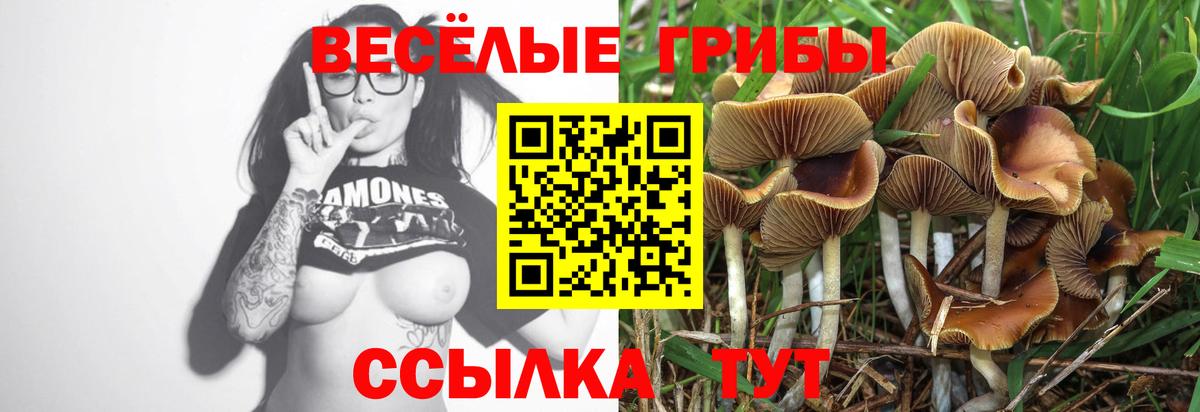 Галлюциногенные грибы Cubensis Жуковский